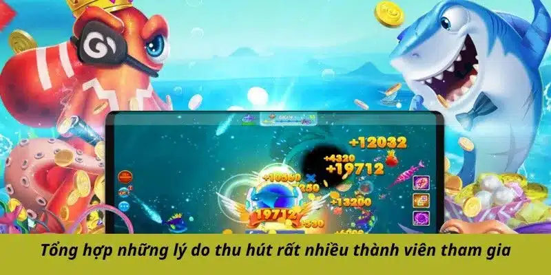 Tổng hợp những lý do thu hút rất nhiều thành viên tham gia