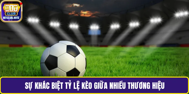 Sự khác biệt tỷ lệ kèo giữa nhiều thương hiệu